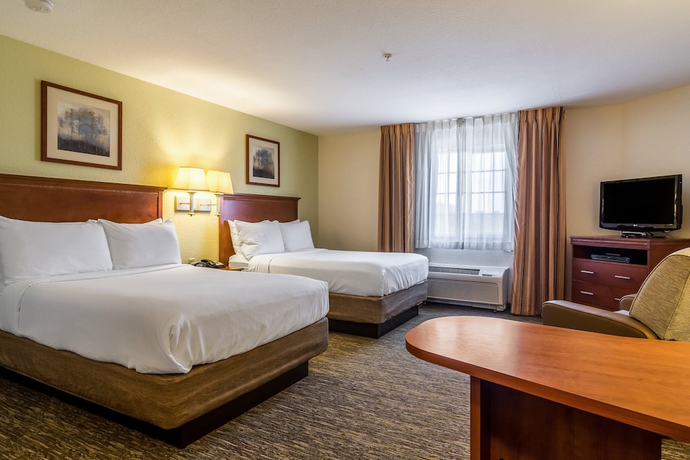 Studio Suite, 2 Double Beds, Kitchen - Photo 8