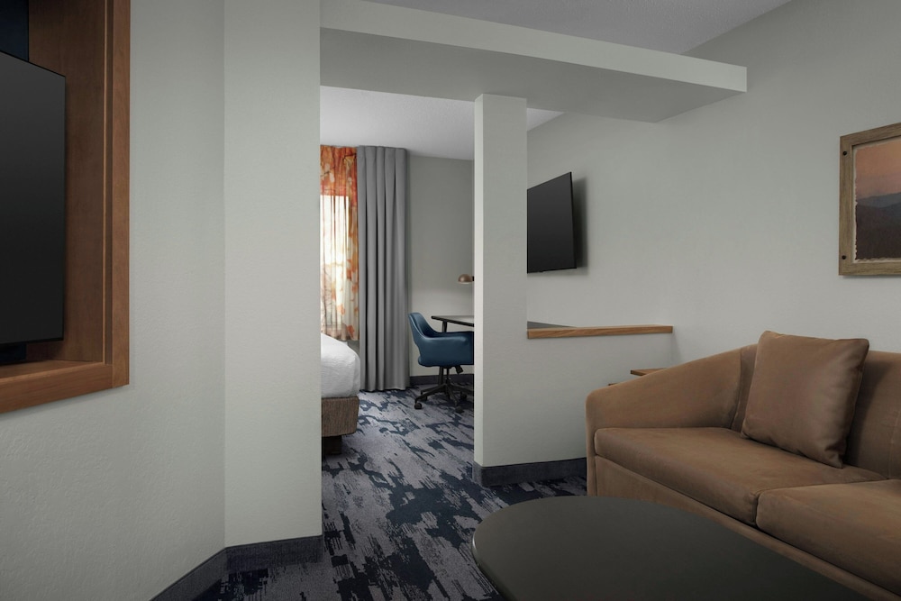 Studio Suite, 1 King Bed with Sofa bed (Mobility/Hearing Accessible, Tub)