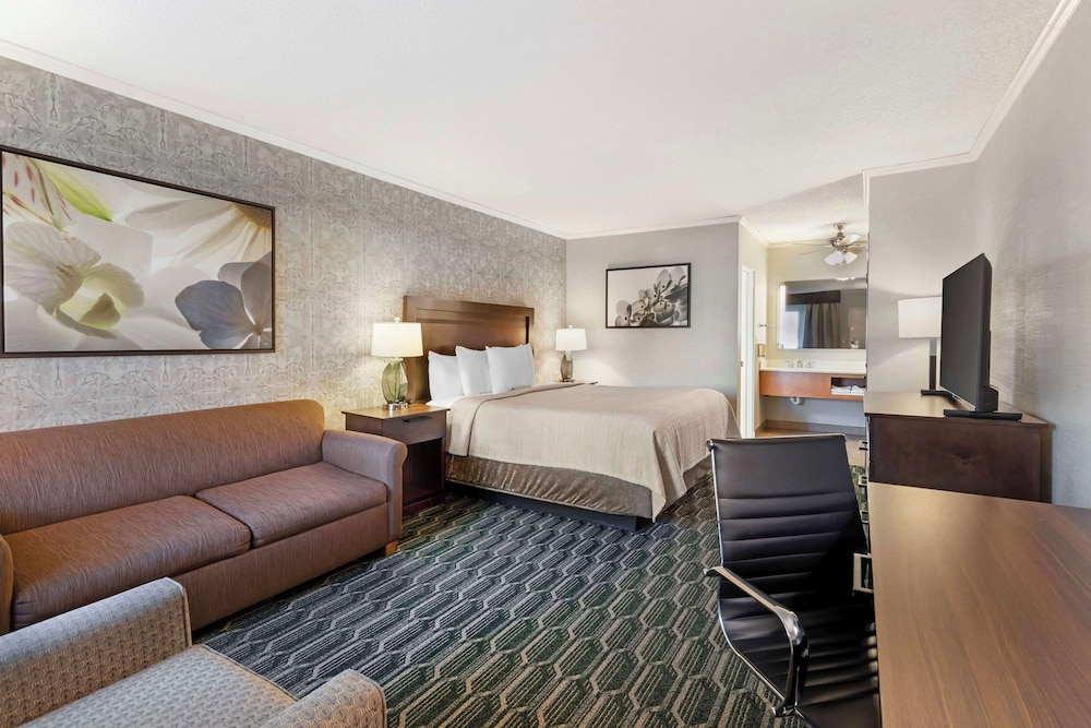 Deluxe Room, 1 King Bed, Non Smoking, Refrigerator & Microwave (with Sofabed) - Photo 1