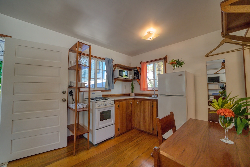 Toucan Studio Suite photo 3