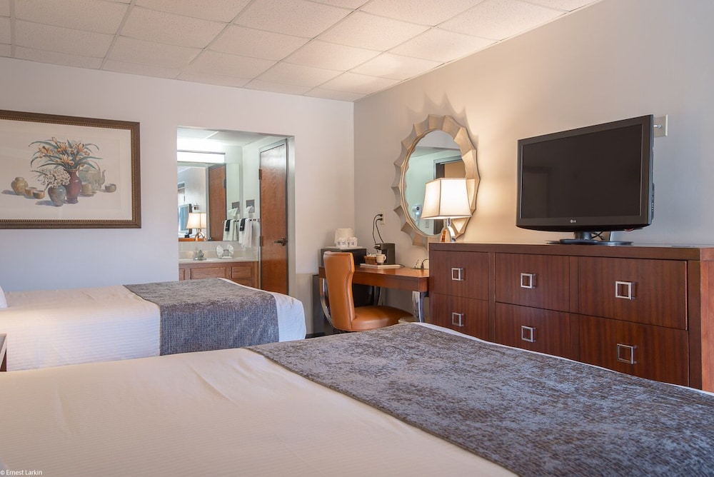 Double Room, 2 Queen Beds, Terrace, Mountain View photo 2