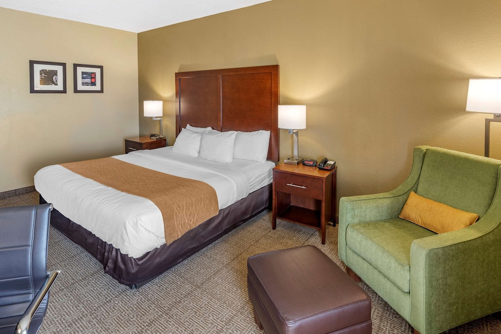 Standard Room, 1 King Bed, Non Smoking photo 1