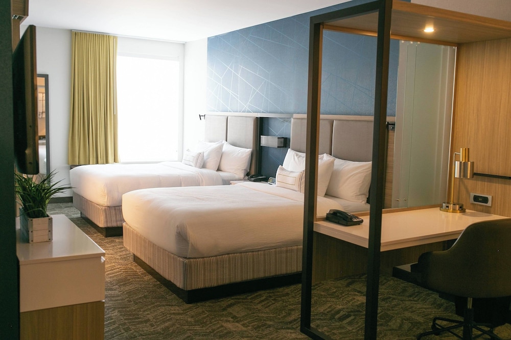 Suite, Multiple Beds