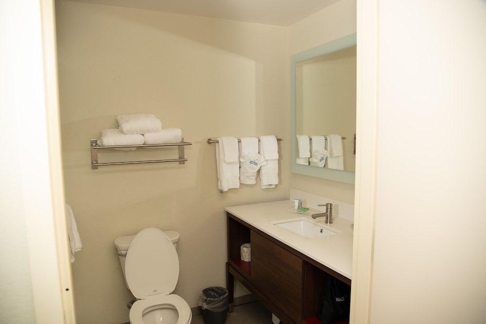 Suite, 1 King Bed - Photo 4