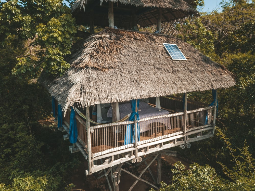 Family Tree House (Nne) photo 1