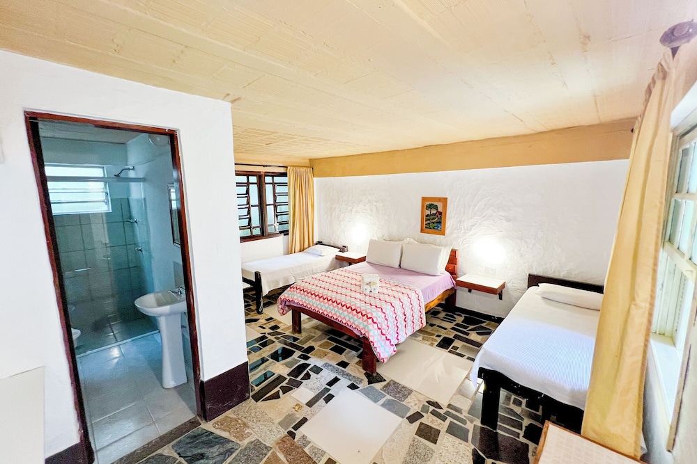 Economy Room photo 1