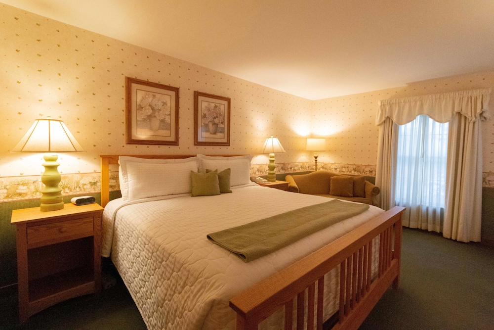 Gallery Room, 1 King Bed photo 2