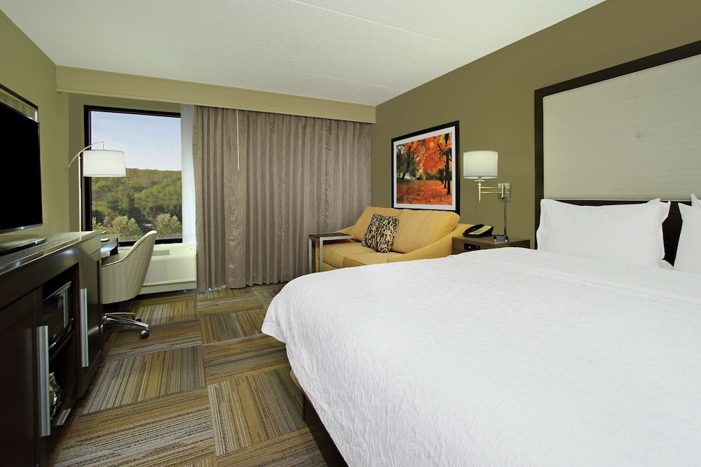 Suite, 1 King Bed, Accessible, Non Smoking - Photo 2