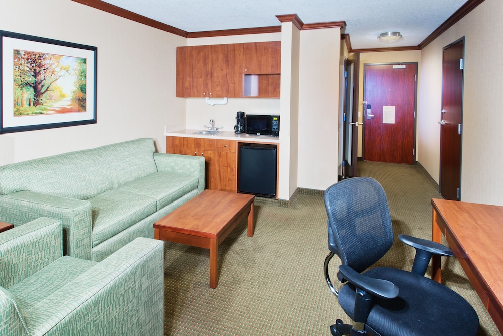 Suite, 1 King Bed, Accessible (Mobility, Access Tub) - Photo 1