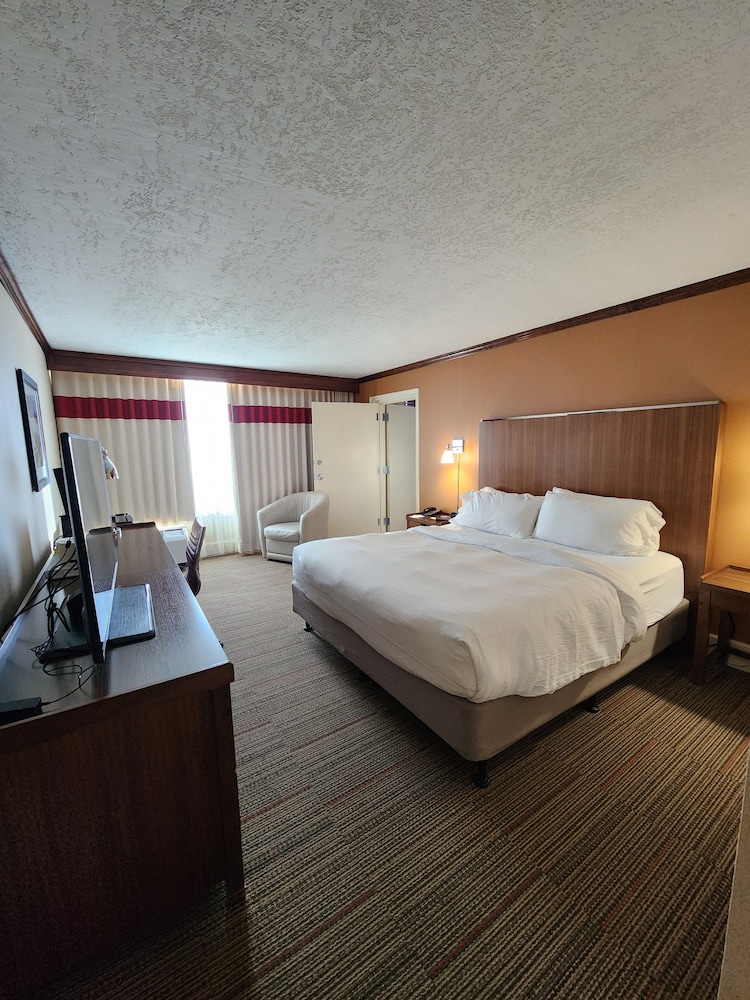 Suite, 1 Bedroom photo 3