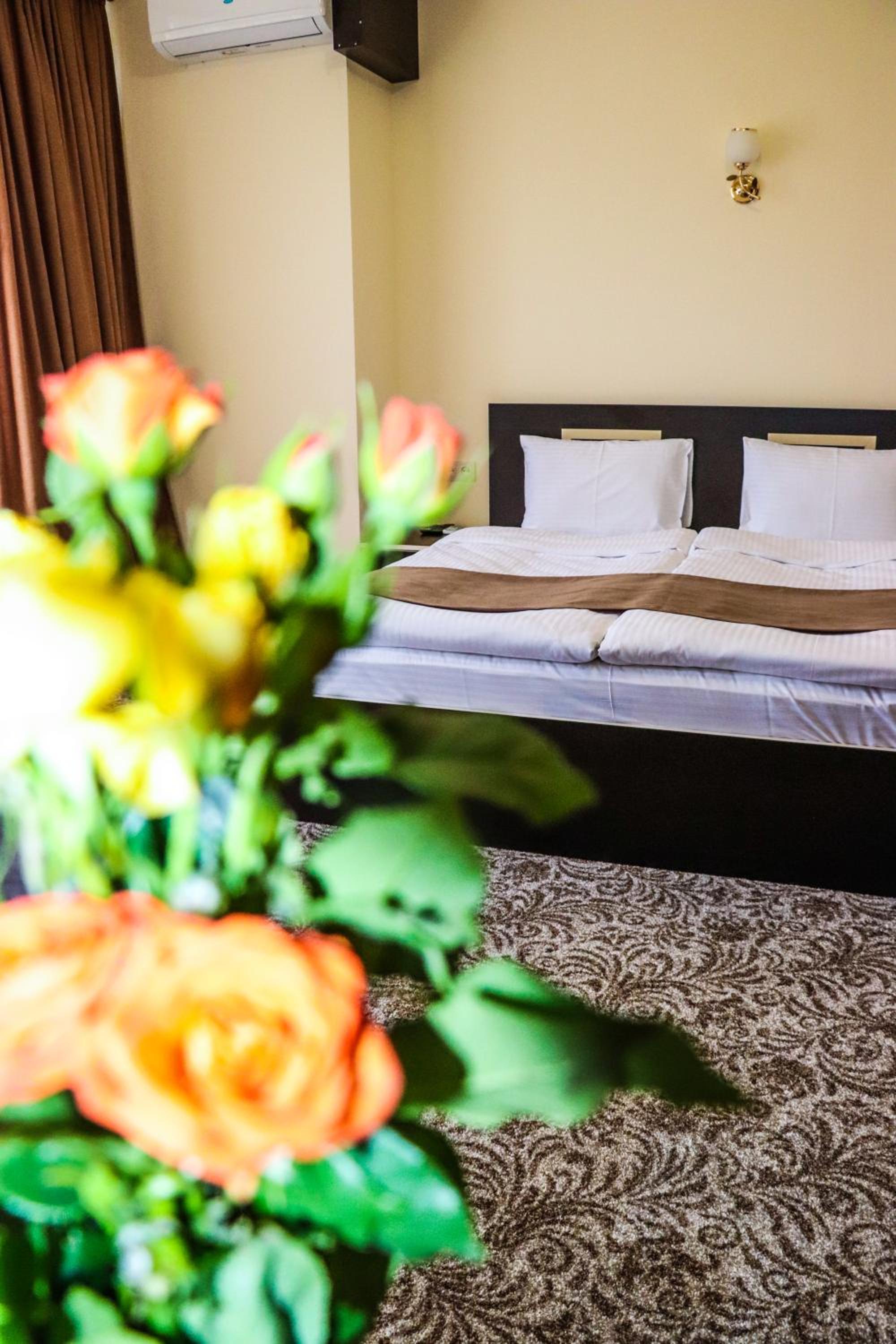 Large Double Room photo 3