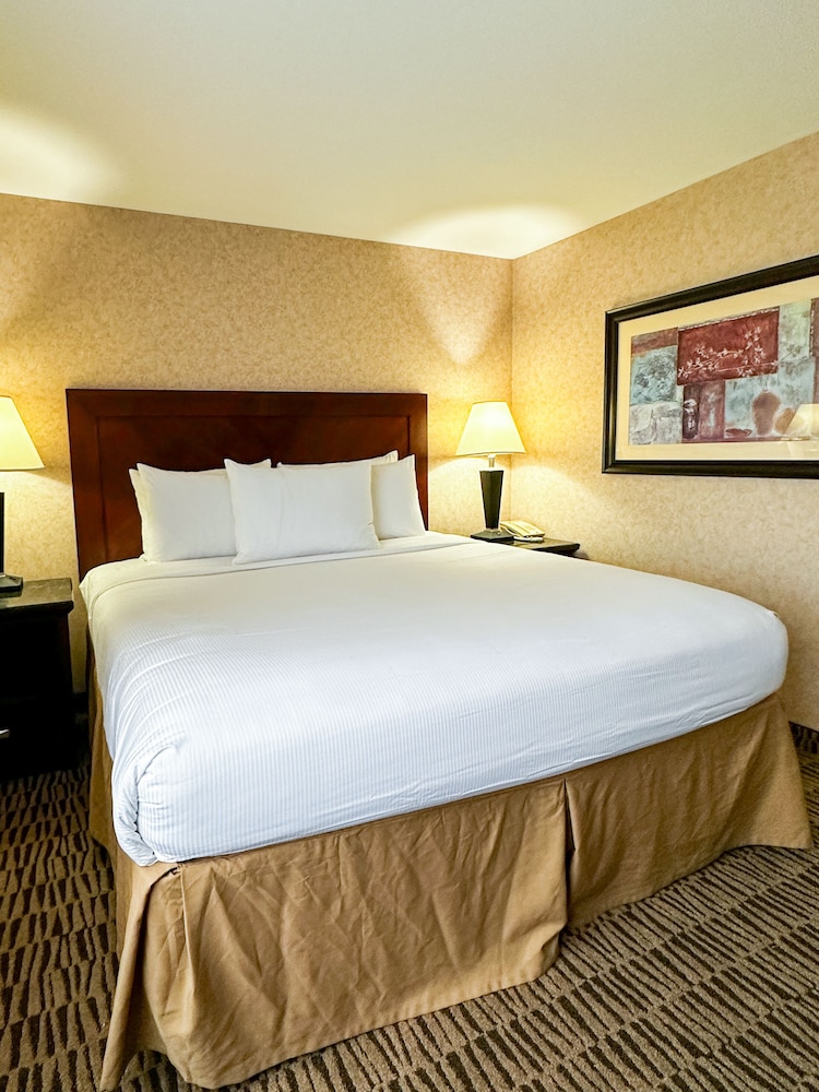 Classic Suite - Photo 1