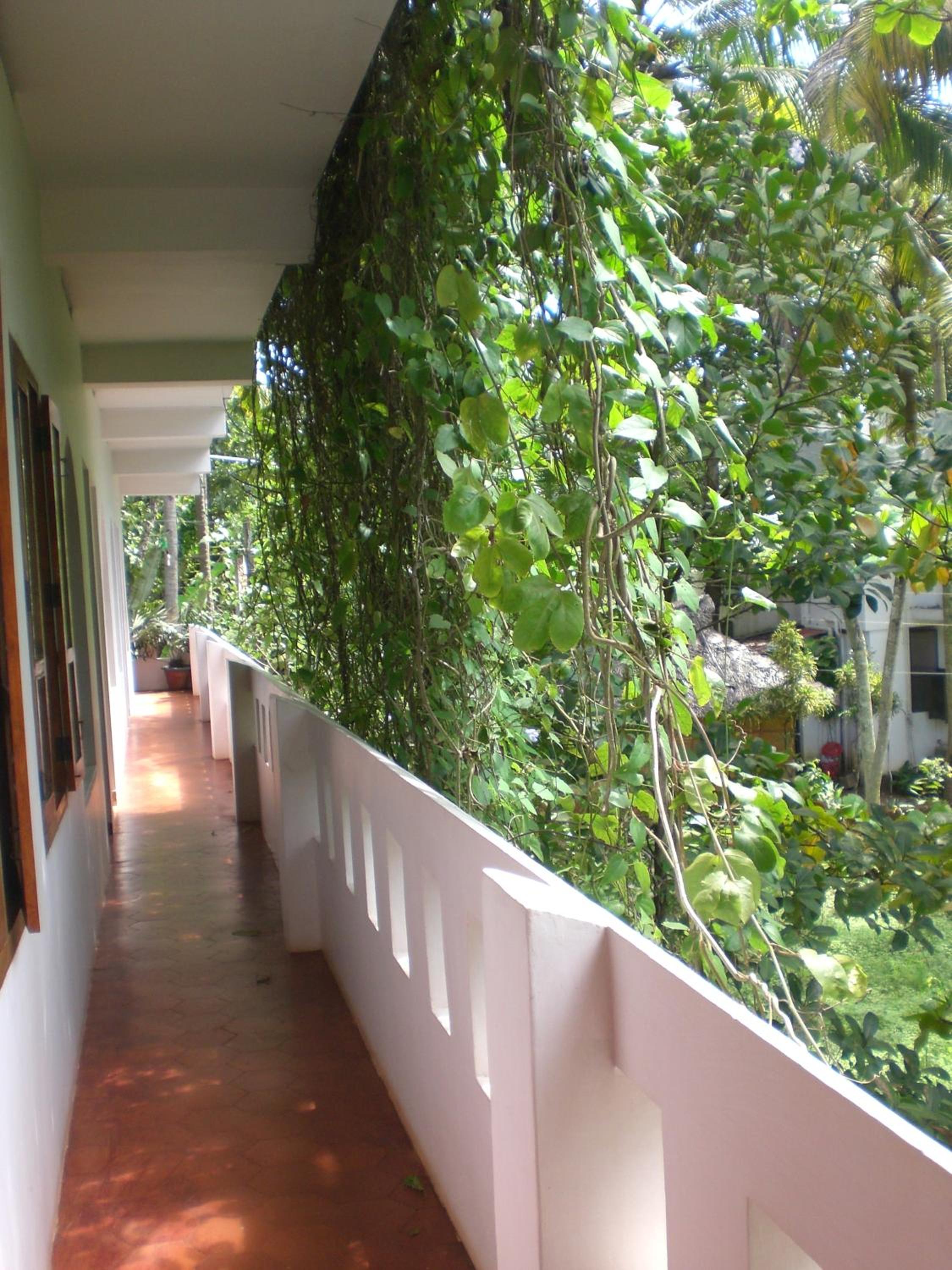 Deluxe Double or Twin Room with Balcony photo 3