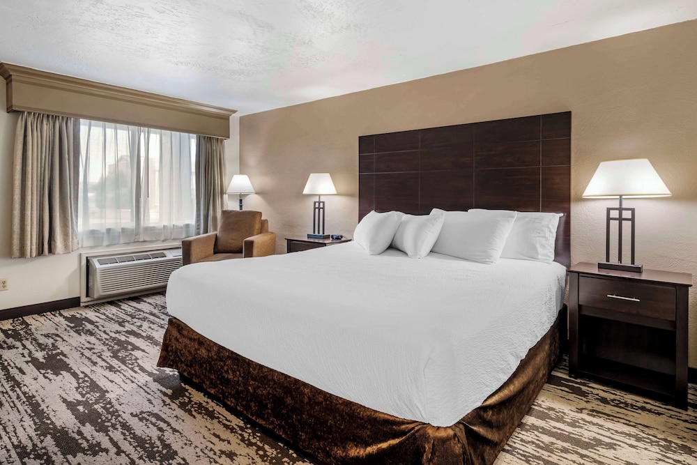 Deluxe Room, 1 King Bed, Non Smoking, Refrigerator & Microwave - Photo 3