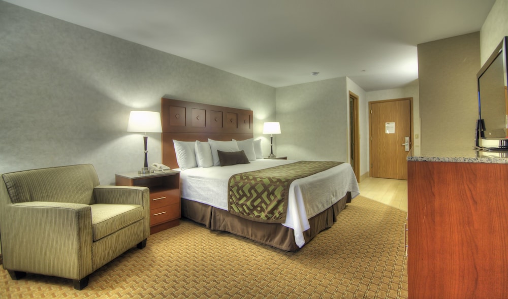 Deluxe single room, 1 king bed