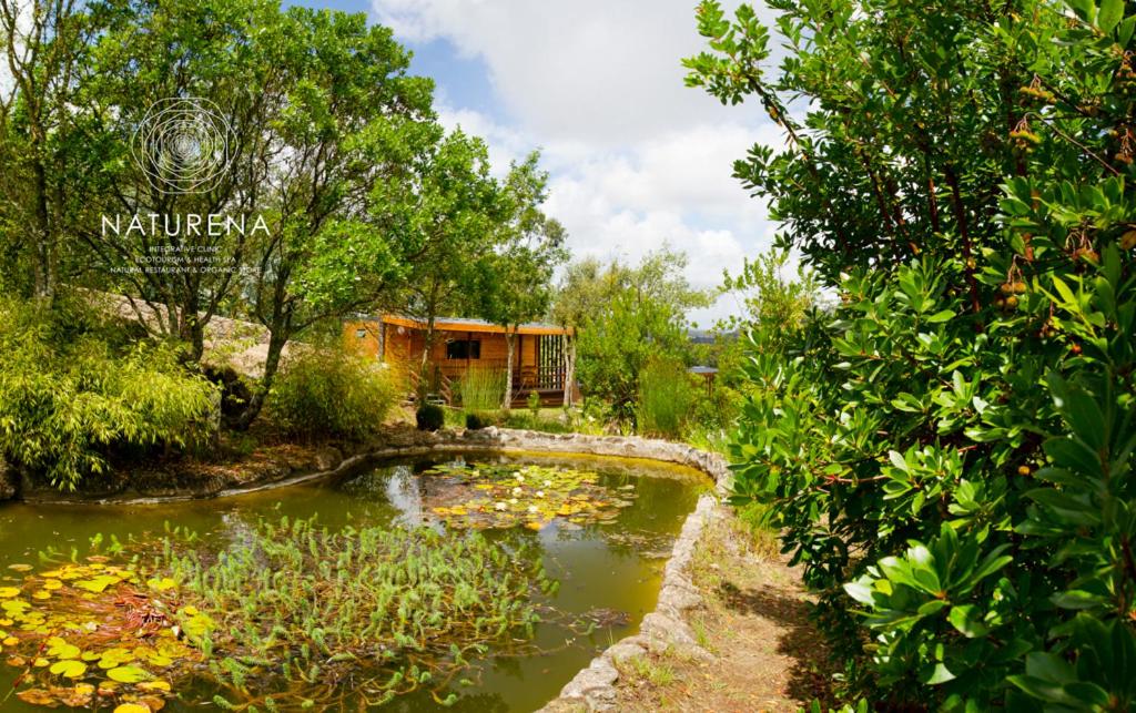 One-Bedroom Bungalow