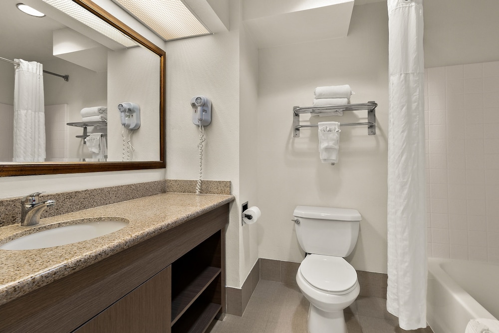 Deluxe Room, 1 King Bed, Non Smoking, Refrigerator & Microwave - Photo 4