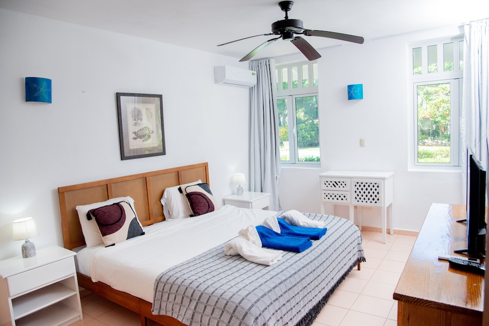 Executive Apartment photo 2