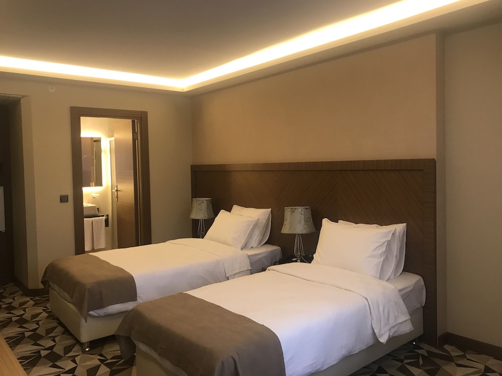 Deluxe Double or Twin Room photo 1