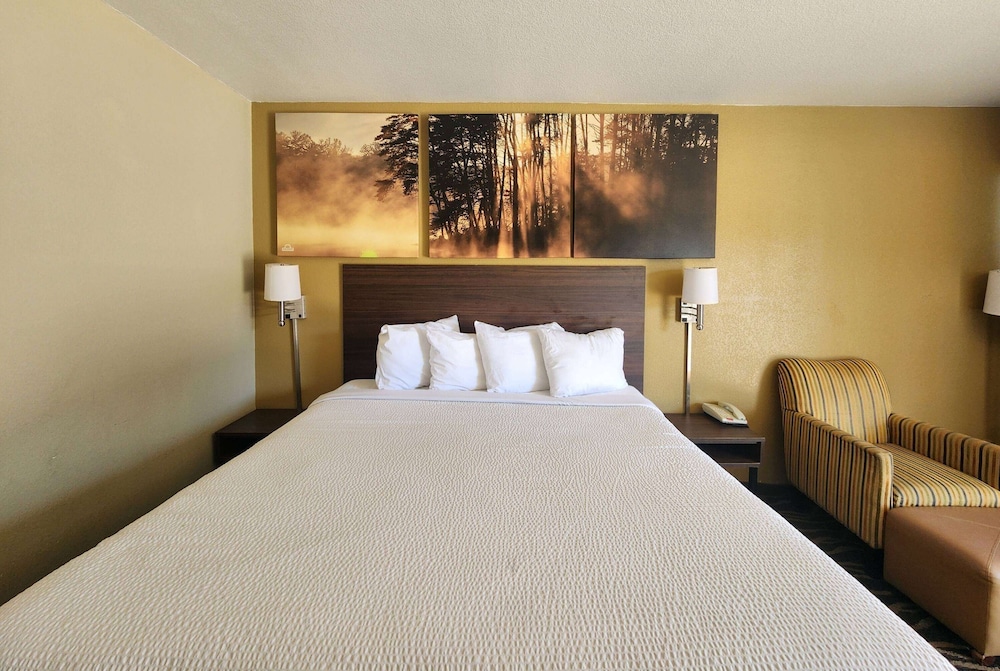 Studio Suite, 1 King Bed, Smoking - Photo 4