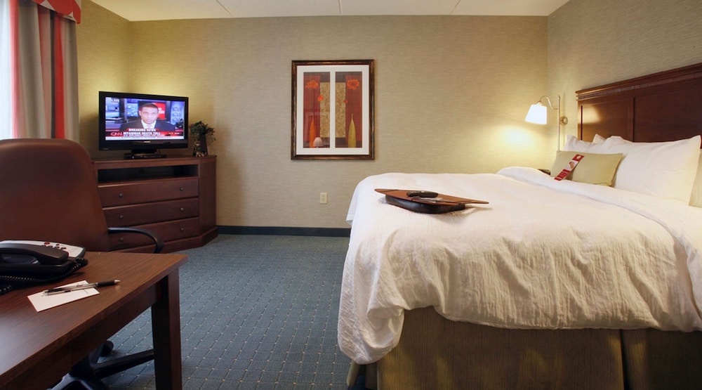 Room, 1 King Bed, Accessible, Bathtub - Photo 1