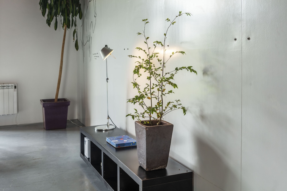 Design Loft photo 2