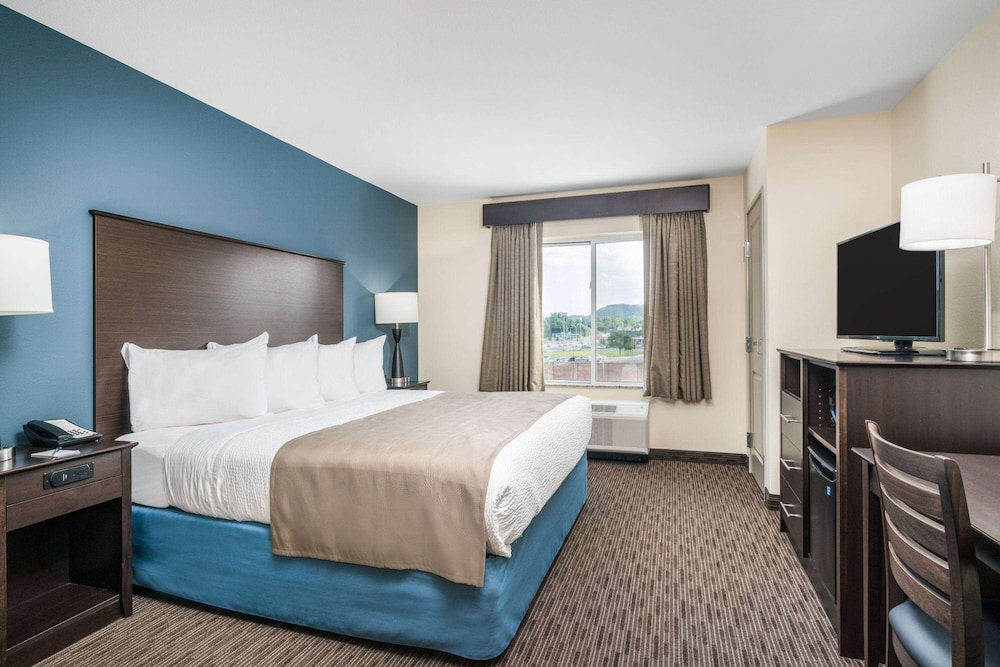 Room, 1 King Bed, Non Smoking (Pet Friendly)