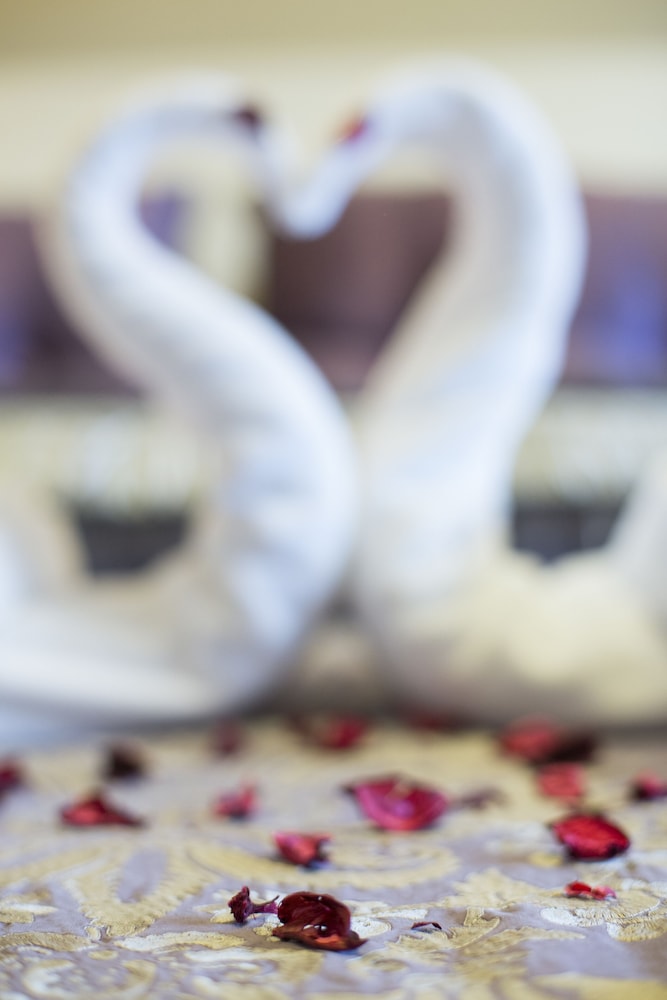 Honeymoon Suite photo 2