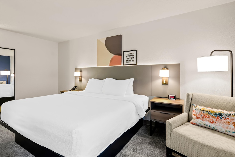 Room, 1 King Bed, Accessible (Mobility & Hearing, Roll-in Shower) photo 1