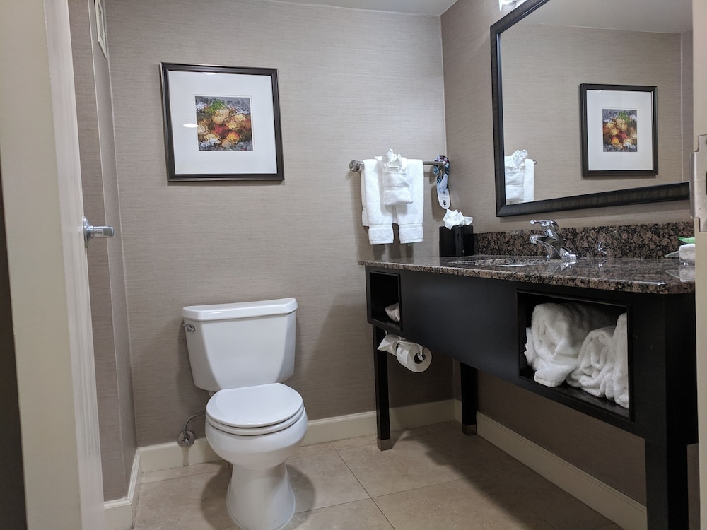 Suite, 1 King Bed With Sofa Bed