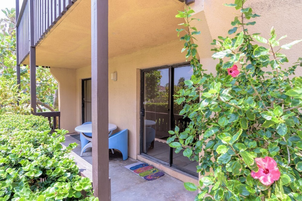 Basic Condo, 1 King Bed with Sofa bed, Courtyard View, Beachside