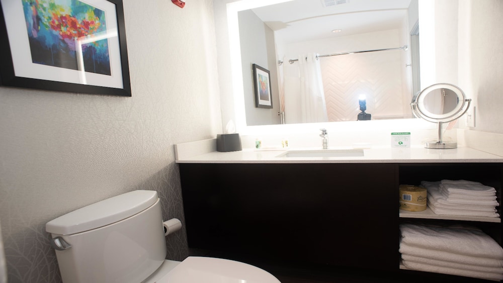 Suite, 1 King Bed, Transfer Shower (Communications Accessible) photo 1