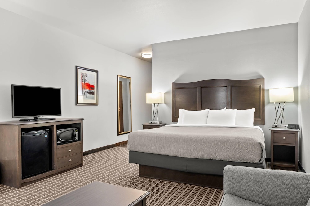 Standard Room, 1 King Bed, Non Smoking photo 3