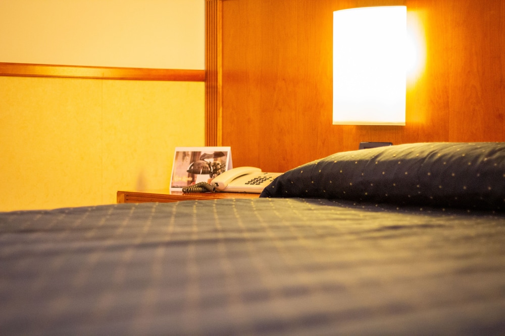 Standard Double or Twin Room, 1 Bedroom - Photo 2