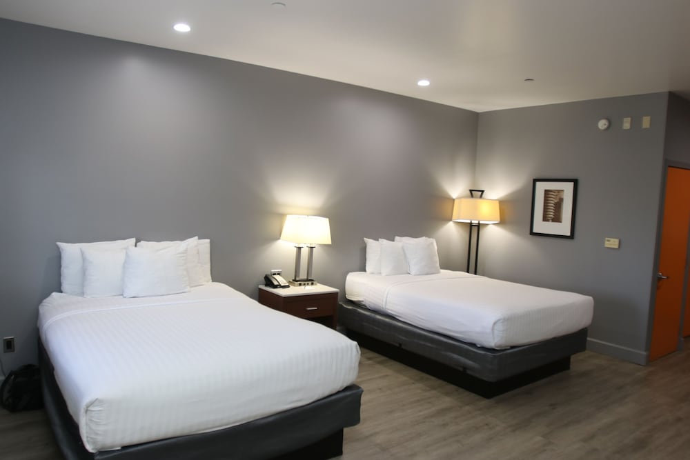 Basic Room, Multiple Beds, Non Smoking - Photo 2