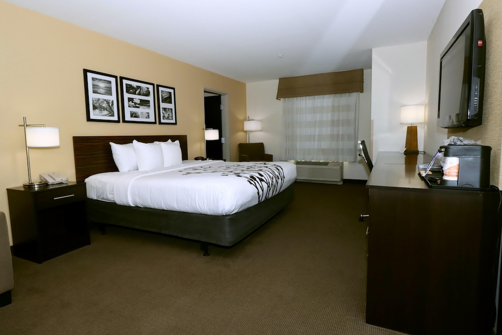 Suite, 1 King Bed with Sofa bed, Accessible, Non Smoking photo 1