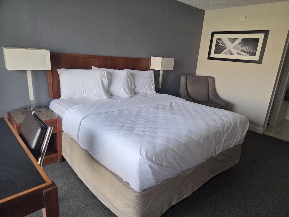 Room, 1 King Bed, Accessible, Non Smoking photo 1
