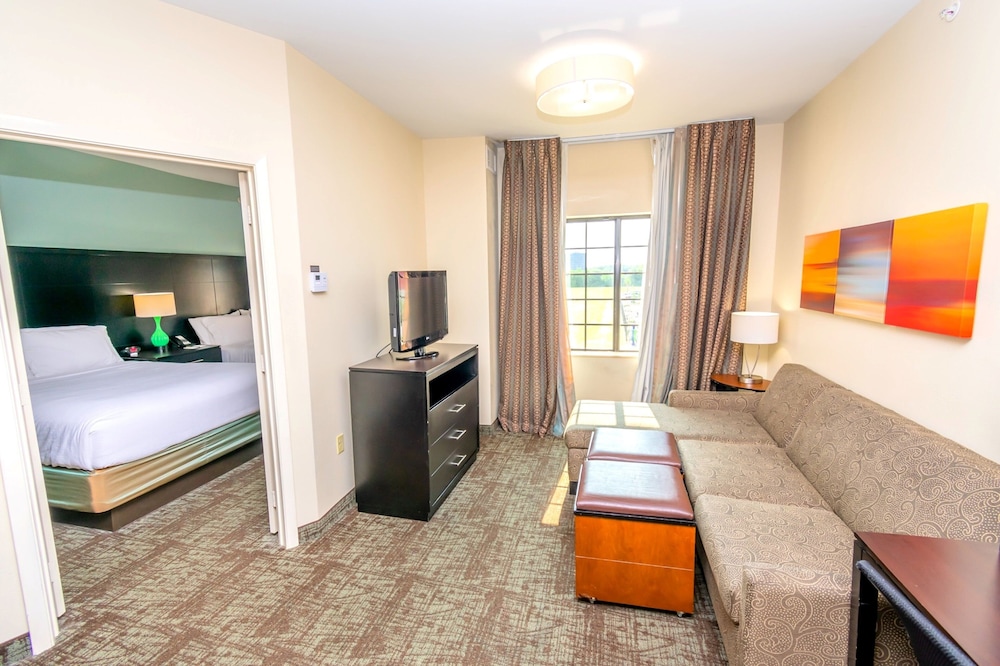 Suite, 1 Bedroom, Kitchen - Photo 12