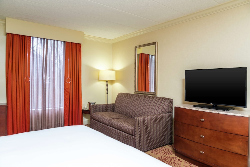 Room, 1 King Bed, Accessible - Photo 3