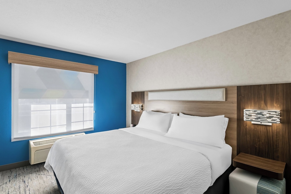 Suite, 1 King Bed - Photo 1