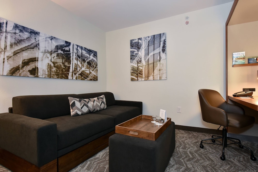 Studio Suite, 1 King Bed (Mobility/Hearing Accessible, Tub) - Photo 4