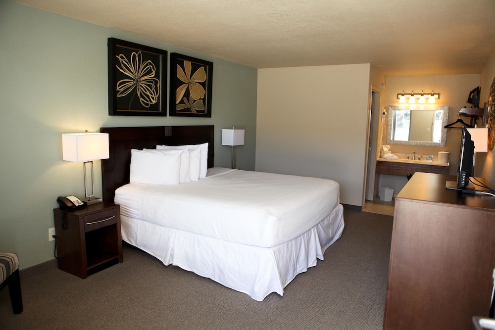 Executive one king bed non smoking - Photo 1