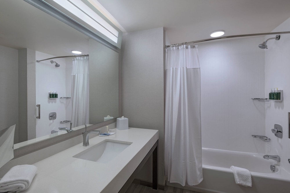 Suite, 1 Bedroom - Photo 8
