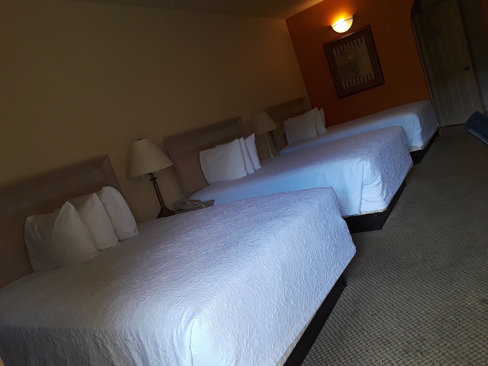 Superior Room, Multiple Beds photo 1