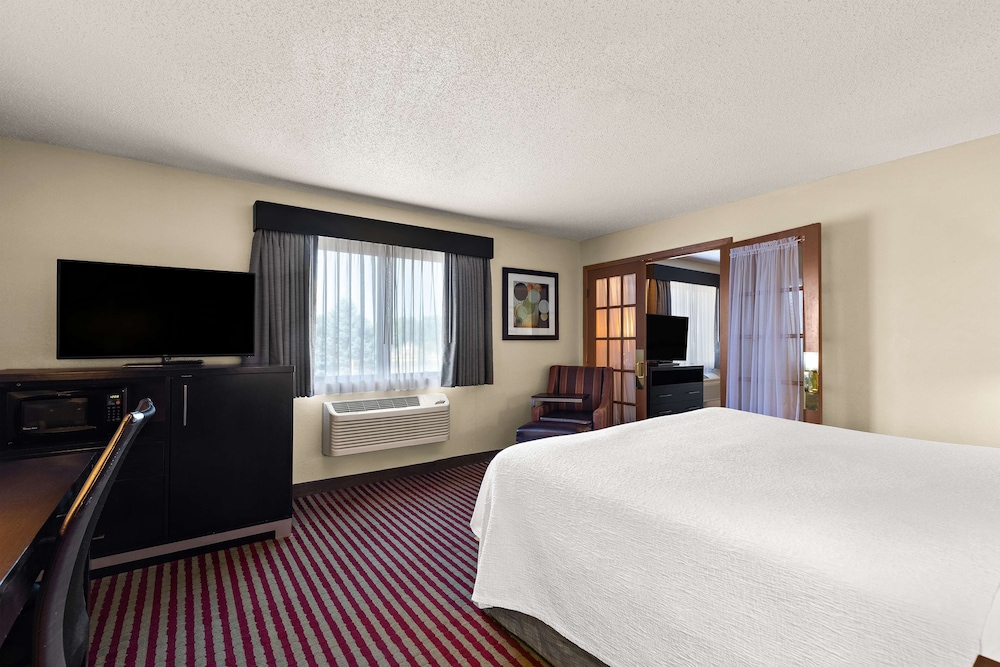 Suite, 1 King Bed, Non Smoking, Jetted Tub (with Sofabed) - Photo 2
