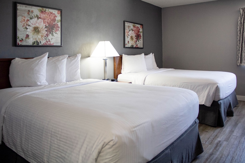 Superior Room, 2 Queen Beds photo 3