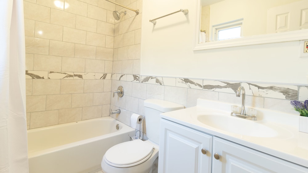 Comfort Single Room photo 2