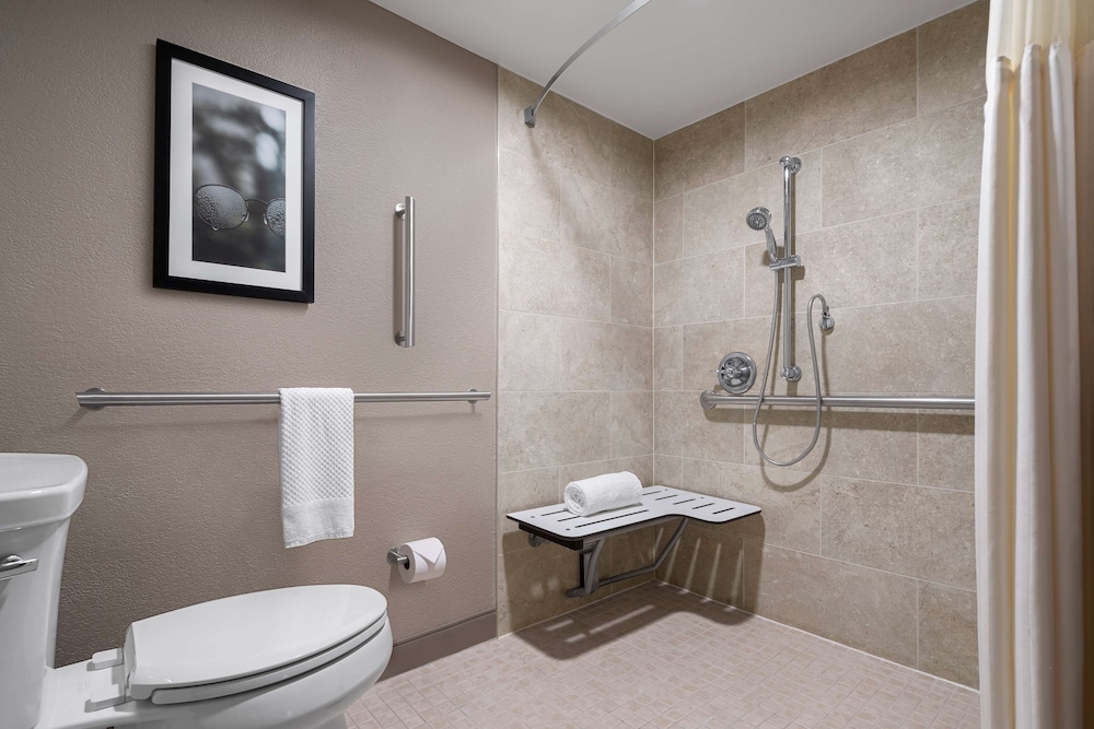 Room, 1 King Bed, Accessible (Roll-In Shower) photo 2