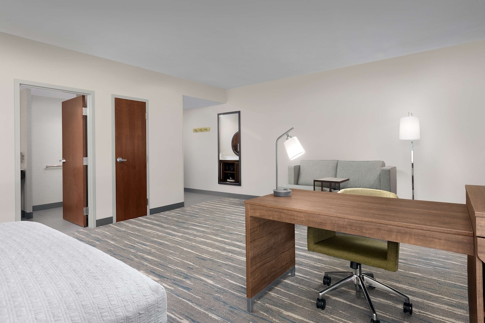 Studio, 1 King Bed, Accessible (Mobility & Hearing, Roll-In Shower) - Photo 5