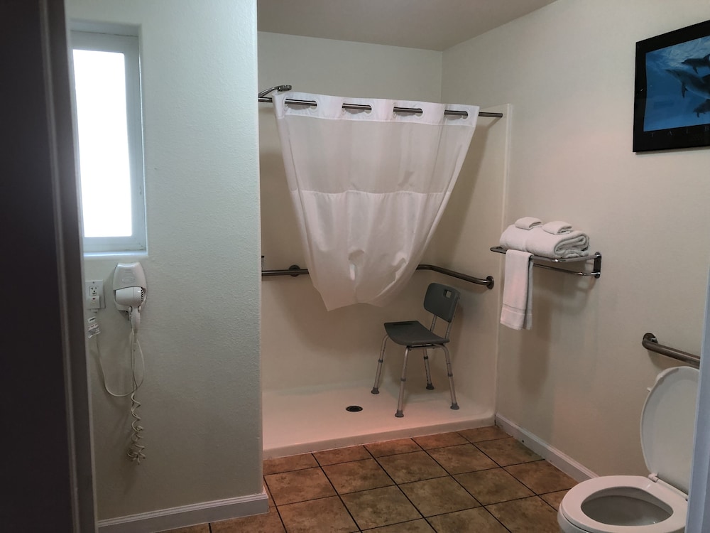 Comfort Single Room, 1 King Bed photo 2